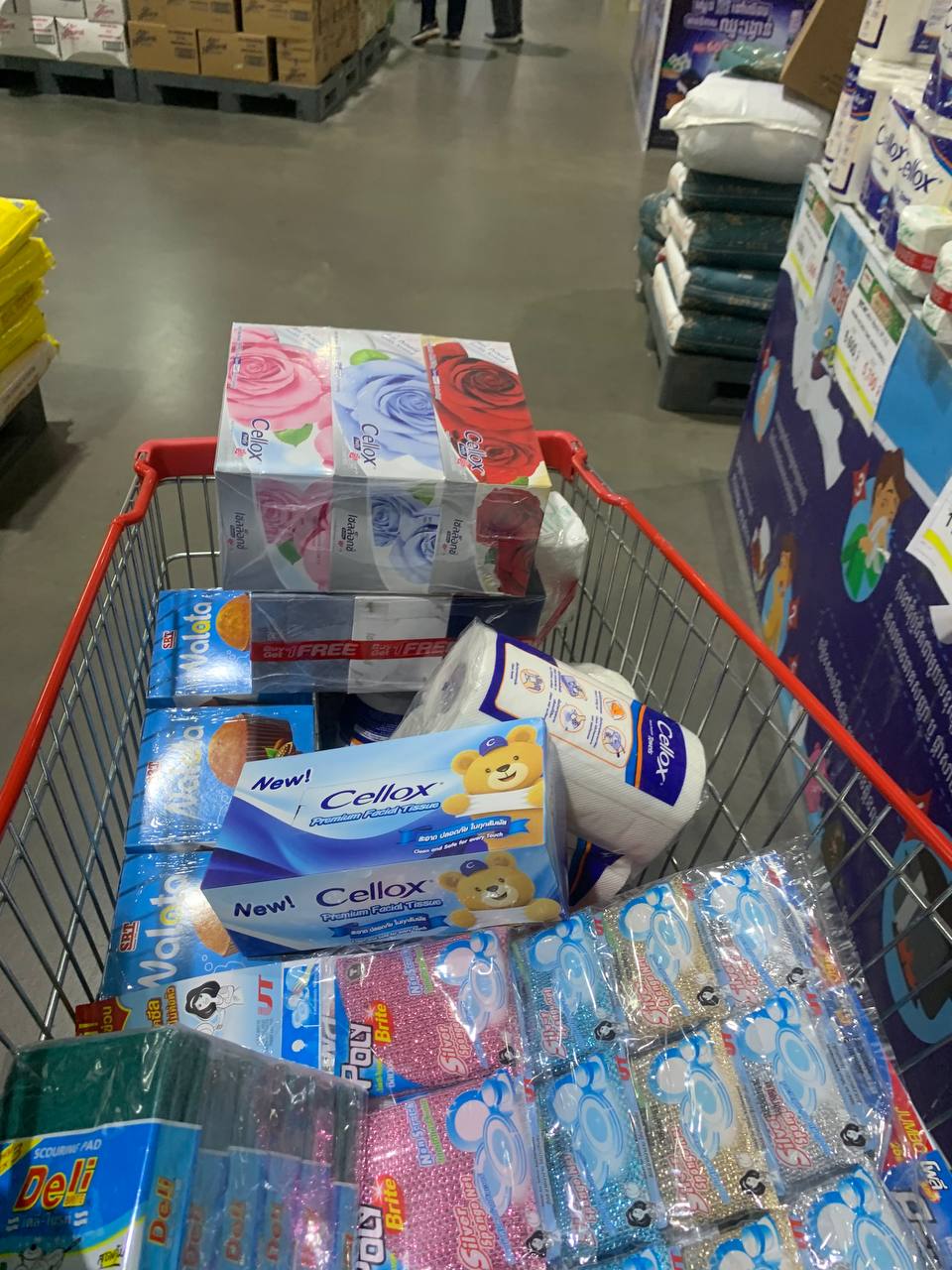 Modern Trade Distribution of Cellox and Hygienist Products by BJC at Makro Cambodia 12 Dec - Image 1